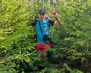 Der gleiche Ort am Boden – junge Fichten, das Leben kehrt zurück