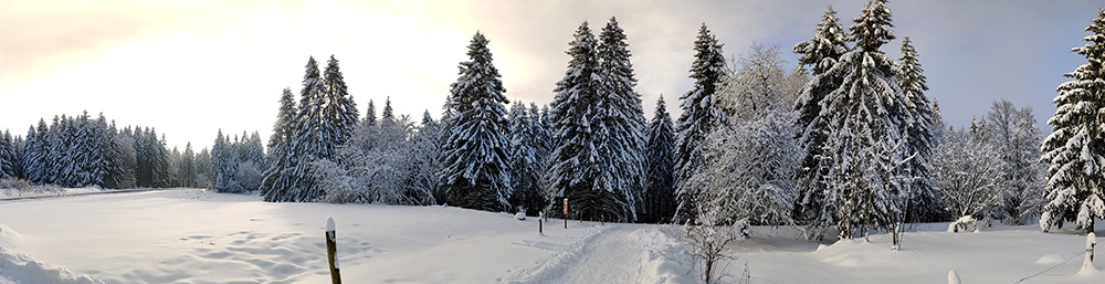 Panorama der Winterlandschaft nahe Bahnhof Rennsteig