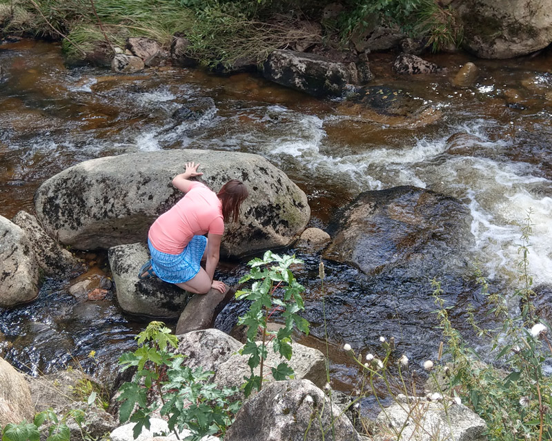 Klettern Im Harz 20170819 1373190152