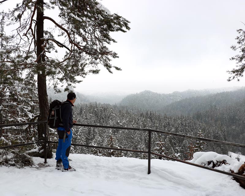 Wolfsschlucht Hinterhermsdorf 20190115 1147516886