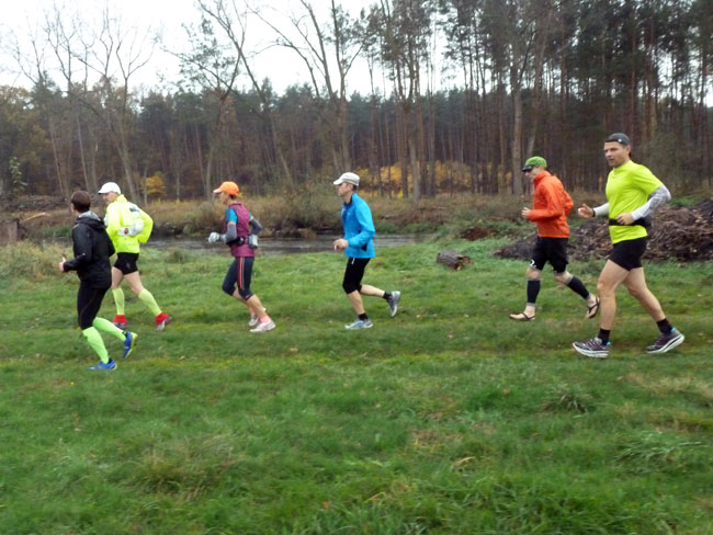 66 Seen Lauf 20131103 1134732136