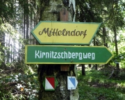 Markierung des Kirnitzschbergweges, am Ende weglos