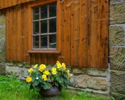 Bild 5 - An der Buschmühle
