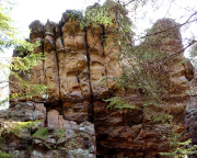 Blick in die Bergseite der Däumlingswarte am Pferdeberg 