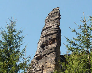 Dürrebielenadel