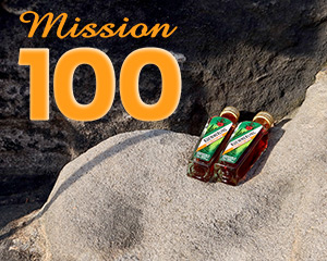 Mission 100